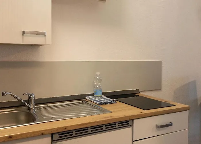 4-studio Mit Kueche & Magenta Tv-10 Min Ins Zentrum Апартаменты